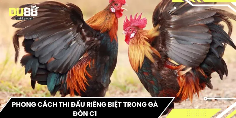 Phong cách thi đấu riêng biệt trong gà đòn C1