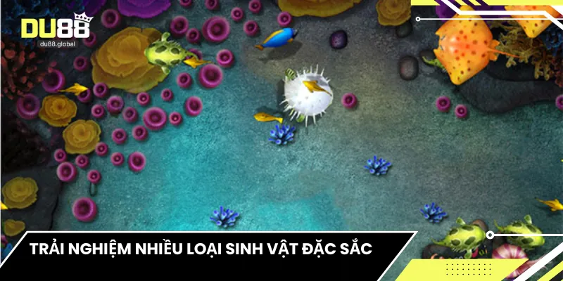 Trải nghiệm nhiều loại sinh vật đặc sắc